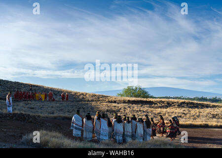 Halu Hula Festival Culturel à effectuer à Pu'ukohala Heiau NP sur Hawaii Island Banque D'Images