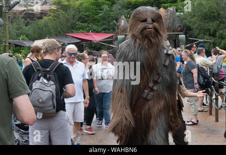 Orlando, Floride, USA. 20e Août, 2019. CHEWBACCA marche dernières touristes durant un essai de Star Wars : Galaxy's Edge Terrain à Disney World's Hollywood Studios à Orlando. Credit : Bryan Smith/ZUMA/Alamy Fil Live News Banque D'Images