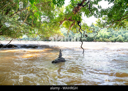 C'est une grande rivière dans le parc national de Nam Cat Tien à Dong Nai, Vietnam. Banque D'Images