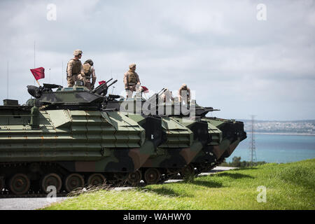 Les Marines américains avec le 4ème Régiment de Marines, 3e Division de marines, la conduite du véhicule amphibie assaut armes collectives de formation sur Camp Hansen, Okinawa, Japon, 20 août 2019. L'entreprise a traversé plus de 22 kilomètres sur terre et mer, la plus longue du trek toute unité d'AAV à Okinawa au cours des 20 dernières années, pour passer de l'emplacement de l'unité de tir réel à la. Assaut amphibie continue la formation est conçue pour maximiser le Marine Corps Combat des compétences et de l'unité est prête pour les opérations à venir dans la région. (U.S. Marine Corps photo par le Cpl. Josue Marquez) Banque D'Images