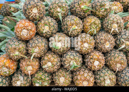 Pile de l'ananas frais à la vente à étal de fruits tropicaux Banque D'Images