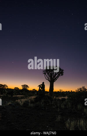 L'Afrique, la Namibie. L'homme en regardant les étoiles dans un Quiver Tree Forest. En tant que crédit : Dennis Kirkland / Jaynes Gallery / DanitaDelimont.com Banque D'Images