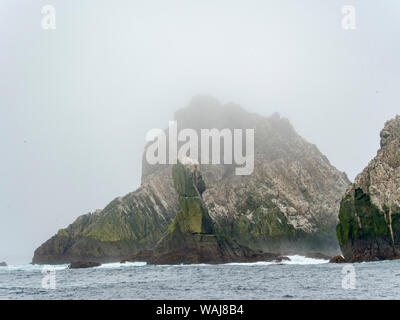 La Shag Rocks près de la Géorgie du Sud, un groupe d'îles rocheuses inhabitées dans l'océan austral. Rookerie de cormorans (Phalacrocorax albiventer impériale oder Leucocarbo atricpes). Banque D'Images