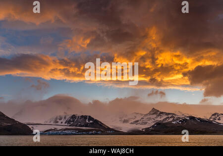 Saint Andres Bay en Géorgie du Sud pendant le coucher du soleil. Sur la côte est une immense colonie de manchots royaux (Aptenodytes patagonicus). Banque D'Images