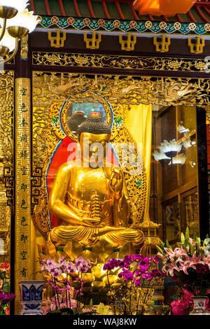 Grand Hall de dix mille bouddhas au Big Buddha et monastère Po Lin, Lantau Island, Hong Kong, Chine. Banque D'Images