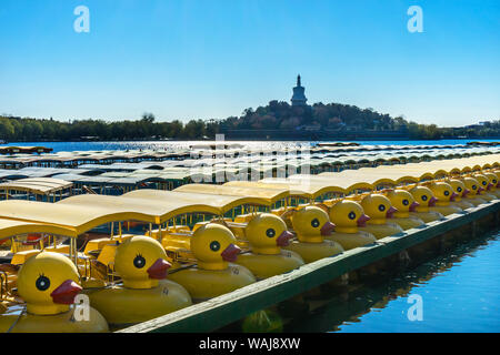 Bateaux canard stupa bouddhiste, lac, lac Beihai, Jade l'île aux fleurs, Beijing, Chine. Beihai Park a été créé en l'an 1000. Banque D'Images