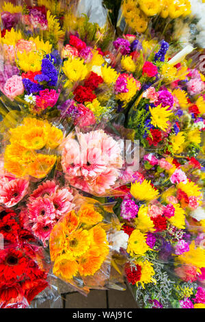 Marché aux fleurs sur le marché aux fleurs Road, Mongkok, Kowloon, Hong Kong, Chine. Banque D'Images
