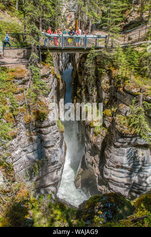 Le Parc National Jasper, Alberta, Canada. La passerelle surplombant le canyon Maligne. La rivière Maligne s'écoule par le fond du canyon. (Usage éditorial uniquement) Banque D'Images