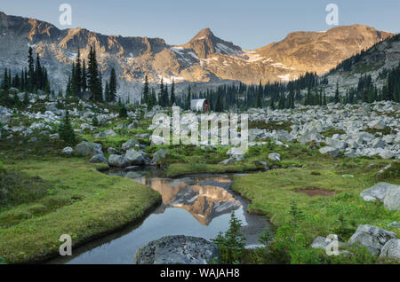 Montagnes reflétées dans les prairies subalpines, ruisseau de Marriott Bassin, Chaîne côtière, en Colombie-Britannique Banque D'Images