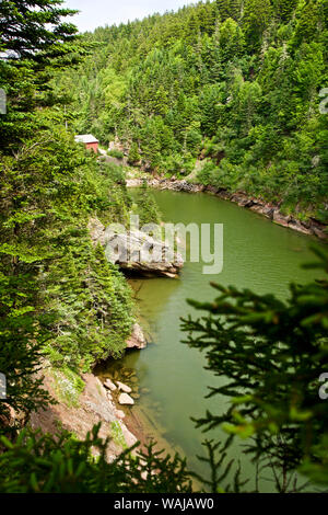 Canada, Nouveau-Brunswick, baie de Fundy National Park Banque D'Images