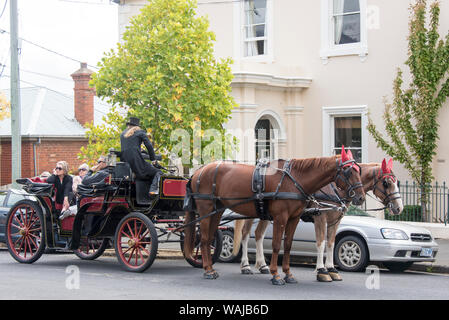 L'Australie, la Tasmanie. Quartier historique de Hobart, rapporté à cheval en calèche. Banque D'Images