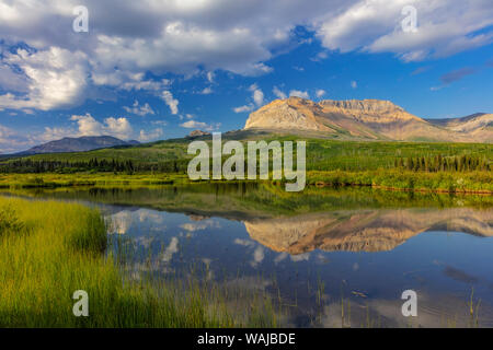 Canapé Mountain se reflète dans l'étang de castor à Waterton Lakes National Park, Alberta, Canada Banque D'Images