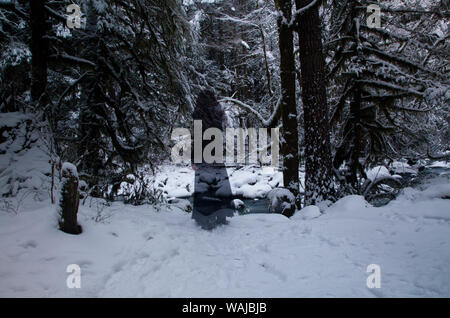 La figure fantomatique dans la forêt enneigée à Squamish, British Columbia, Canada Banque D'Images