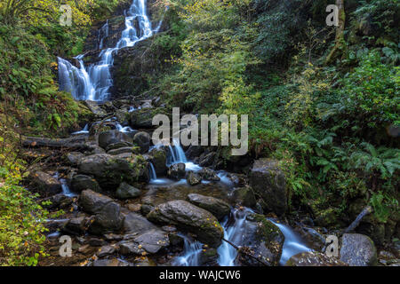 Torc Waterfall dans le Parc National de Killarney, Irlande Banque D'Images