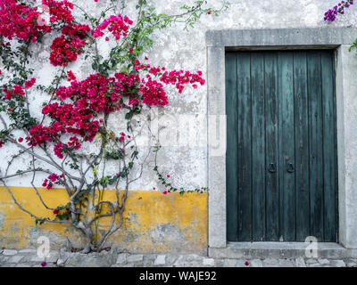 L'Europe, Portugal, Obidos. Belles fleurs de bougainvilliers dans la ville, un des plus pittoresques villages médiévaux au Portugal. Banque D'Images