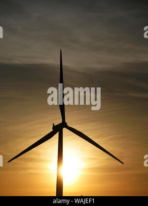 Thames Estuary, world's largest wind qui est situé dans l''estuaire de la Tamise. Banque D'Images