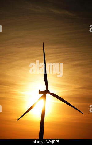 Thames Estuary, world's largest wind qui est situé dans l''estuaire de la Tamise. Banque D'Images