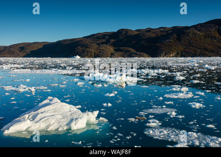 Le Groenland. Eqip Sermia. Icebergs et brash. Banque D'Images