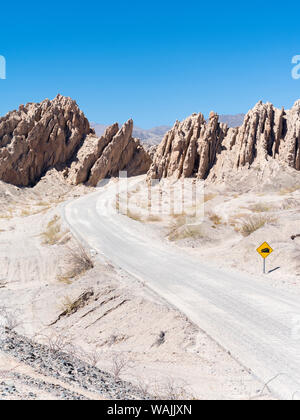 Célèbre Routa 40 Quebrada de Las Flechas de passage dans la région de Valles calchaqui, Province de Salta, Cafayate, Argentine. Banque D'Images