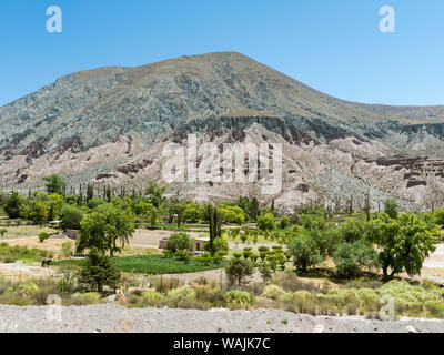 Vallée de la rivière Rio Pumamarca, un affluent de la Quebrada de Humahuaca, Argentine. Banque D'Images