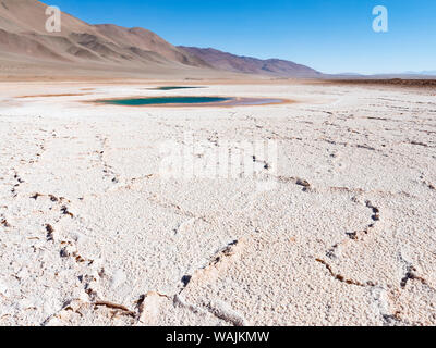 Ojos de Mar. L'Altiplano argentin le long de Routa 27 près de Tolar Grande et le Salar de Arizaro. L'Argentine. Banque D'Images