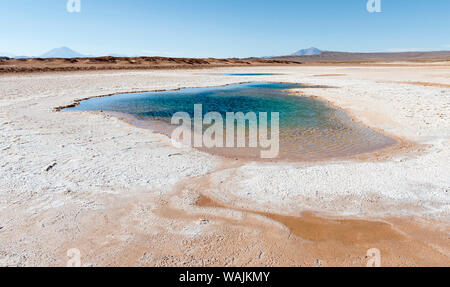 Ojos de Mar. L'Altiplano argentin le long de Routa 27 près de Tolar Grande et le Salar de Arizaro. L'Argentine. Banque D'Images