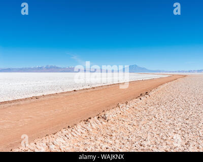 Salar de Arizaro, l'un des plus grands appartements du sel dans le monde. L'Altiplano près de Tolar Grande village, près de la frontière du Chili. L'Argentine. Banque D'Images