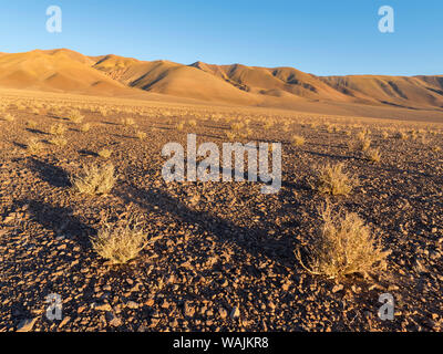 Les montagnes de l'Altiplano près de Tolar Grande village, près de la frontière du Chili. L'Argentine. Banque D'Images