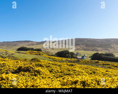 L'île de la carcasse, une petite île de West Falkland. (Usage éditorial uniquement) Banque D'Images