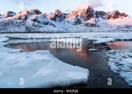 La Norvège, îles Lofoten, Vestvag Island. Plaques de glace le long de la côte sont brisées par la marée change. Banque D'Images