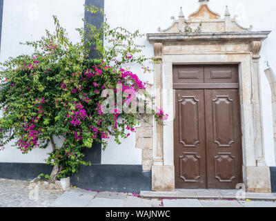 Le Portugal, Obidos. Belles fleurs de bougainvilliers dans la ville d'Obidos, un des plus pittoresques villages médiévaux au Portugal. Banque D'Images