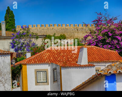 Le Portugal, Leiria. Toits à Obidos cityscape Banque D'Images