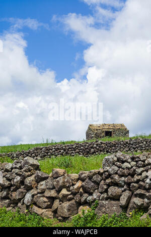 Le Portugal, Açores, l'île de Terceira, Serra do cume. Mur de pierre Banque D'Images