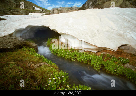 USA, Californie, San Juan Mountains. Rushing Stream sous la neige banque. En tant que crédit : Don Grall / Jaynes Gallery / DanitaDelimont.com Banque D'Images