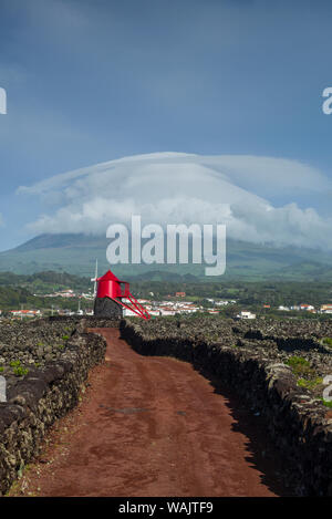 Le Portugal, Açores, l'île de Pico, Criacao Velha. Le Moinho do Frade, moulin à vent traditionnel dans les vignes avec les nuages autour du volcan Pico Banque D'Images