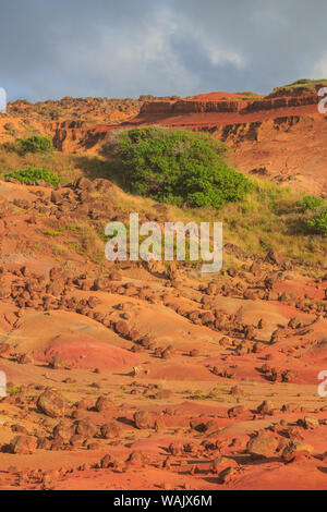 Kaehiakawaelo (Jardin des Dieux), un paysage martien de terre rouge, violet, de lave et de formations rocheuses créées par l'érosion, l'île de Lanai, Hawaii, USA Banque D'Images