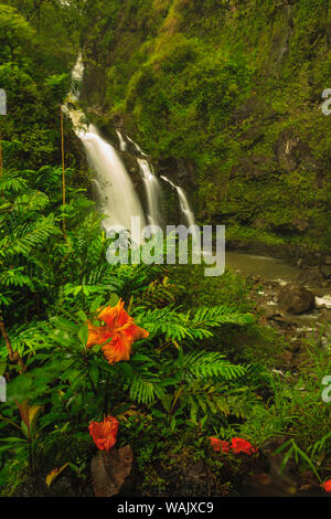 Waikani Falls, Hana Autoroute près de Hana, East Maui, Hawaii, USA Banque D'Images