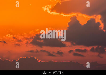 USA, Louisiane, Réserve faunique nationale de l'Atchafalaya. Lever du soleil les nuages. En tant que crédit : Cathy et Gordon Illg / Jaynes Gallery / DanitaDelimont.com Banque D'Images