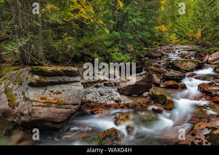 Avalanche Creek dans le Glacier National Park, Montana, USA Banque D'Images