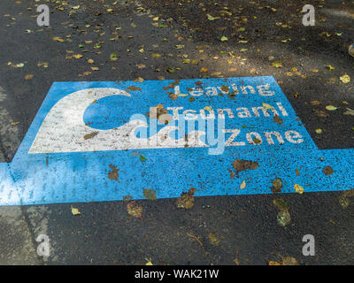 USA (Oregon), l'arctostaphyle. Tsunami Warning sign painted on road. En tant que crédit : Wendy Kaveney Jaynes / Galerie / DanitaDelimont.com Banque D'Images