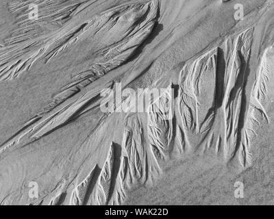 USA (Oregon), l'arctostaphyle. Le noir et blanc de sable de plage. En tant que crédit : Wendy Kaveney Jaynes / Galerie / DanitaDelimont.com Banque D'Images