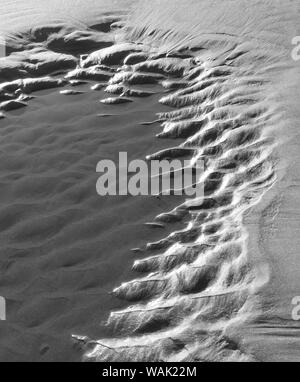 USA (Oregon), l'arctostaphyle. Le noir et blanc de sable de plage. En tant que crédit : Wendy Kaveney Jaynes / Galerie / DanitaDelimont.com Banque D'Images