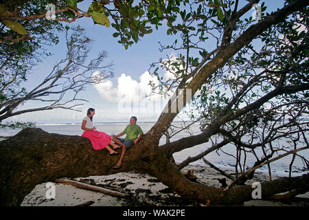 Kosrae Micronésie (EFM). Jeune couple sur branche horizontale d'un grand arbre au bord de l'eau. (Usage éditorial uniquement) Banque D'Images