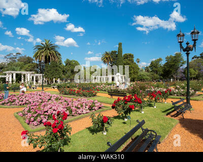 Parc bois de Palermo à Palerme, le jardin de roses (El Rosedal de Palerme). Buenos Aires, Argentine. (Usage éditorial uniquement) Banque D'Images