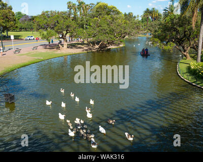 Parc bois de Palermo Palermo, Buenos Aires, Argentine. Banque D'Images