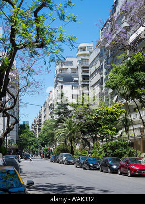 Recoleta, Buenos Aires, Argentine. (Usage éditorial uniquement) Banque D'Images