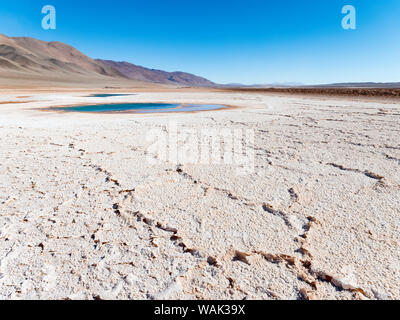 Ojos de Mar. L'Altiplano argentin le long de Routa 27 près de Tolar Grande et le Salar de Arizaro. L'Amérique du Sud, Argentine Banque D'Images