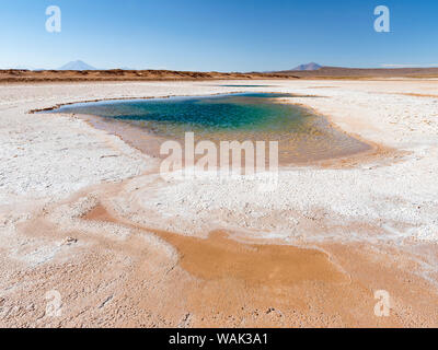 Ojos de Mar. L'Altiplano argentin le long de Routa 27 près de Tolar Grande et le Salar de Arizaro. L'Amérique du Sud, Argentine Banque D'Images