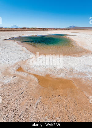 Ojos de Mar. L'Altiplano argentin le long de Routa 27 près de Tolar Grande et le Salar de Arizaro. L'Amérique du Sud, Argentine Banque D'Images