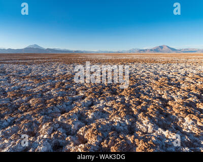 Coucher de soleil sur le Salar de Arizaro, l'un des plus grands appartements du sel dans le monde. L'Altiplano, près du village de Tolar Grande, près de la frontière du Chili. L'Amérique du Sud, Argentine Banque D'Images